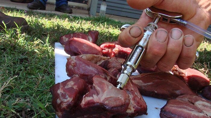 Meat baits being injected with 1080.