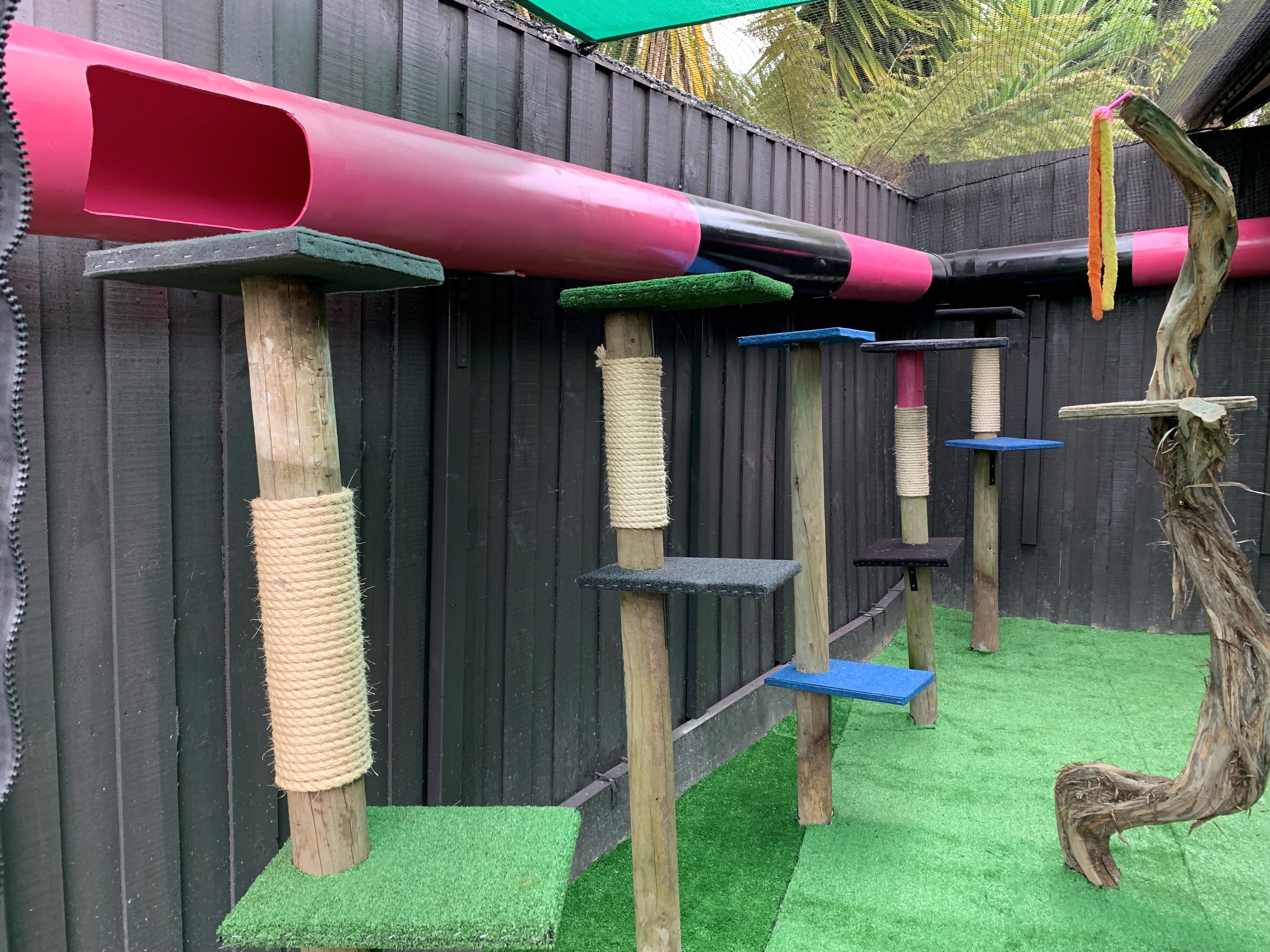 Cat containment rules lead to boom in demand for outdoor pet enclosures