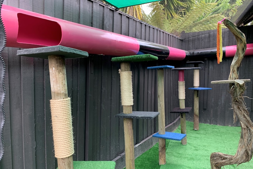 A cat enclosure with a number of scratching poles and a pink and black tunnel.