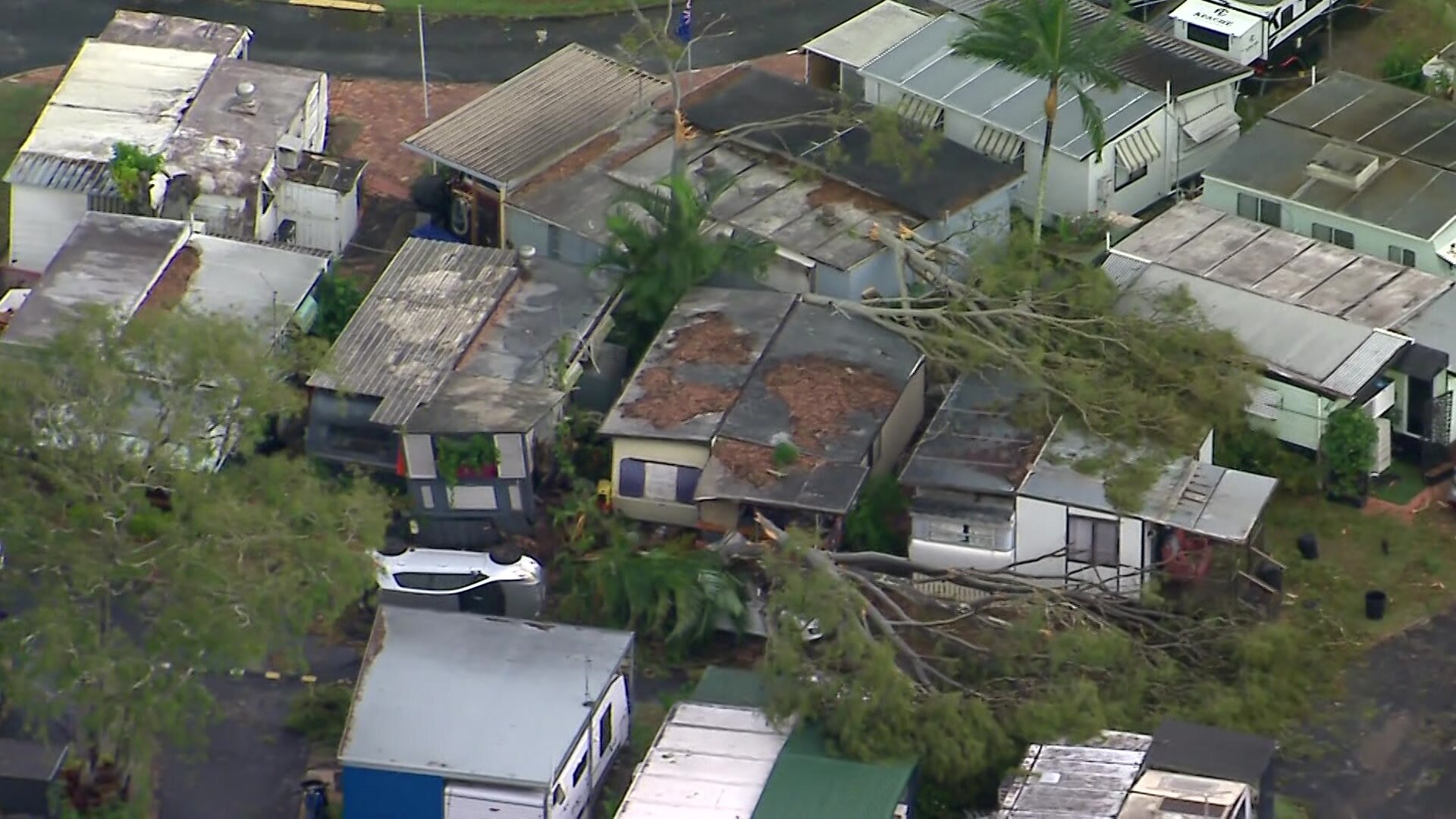 Trees down at Bribie Island after Monday's storm - ABC News