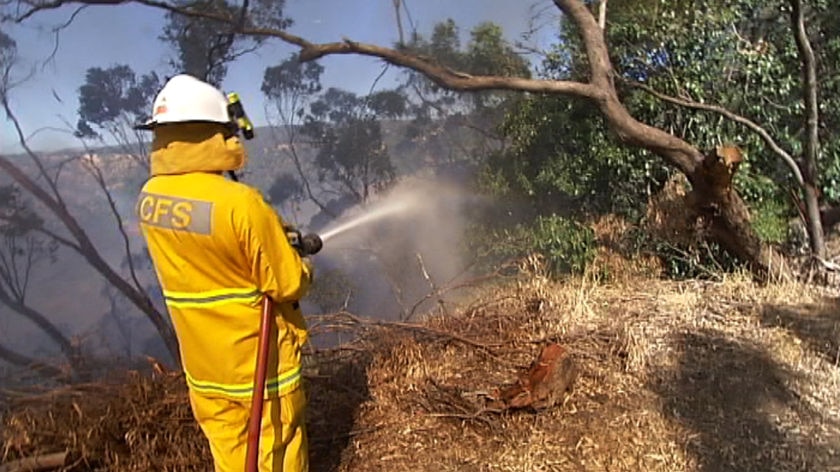 CFS firefighters (file photo)