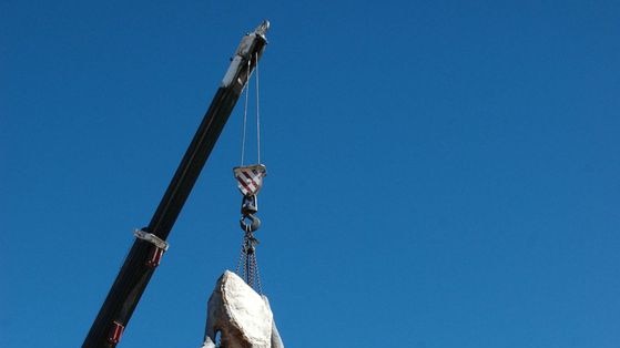 The 'Tree of Knowledge' is removed by council workers