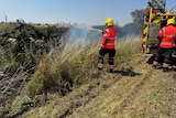 a firefighter dressed in red with yellow helmet holds a hose in a paddock