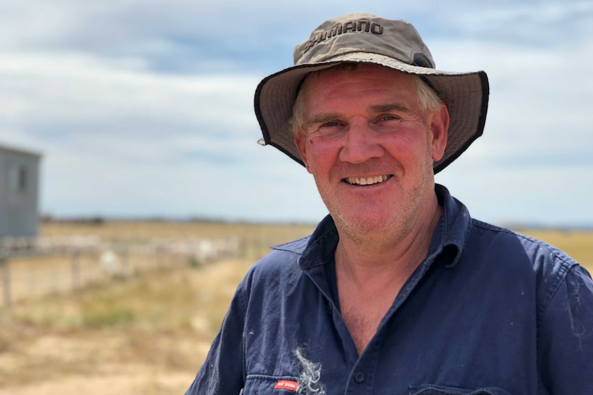 a man stands in front of a tin shearing shed. in the background sheep are walking down a short race after being shorn.