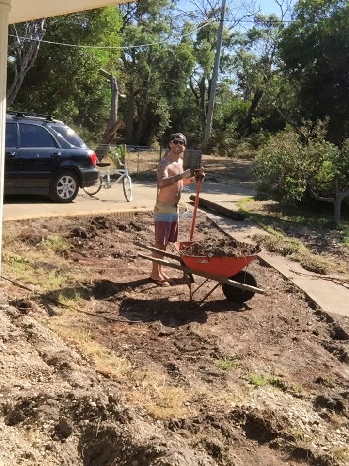 A man with a wheelbarrow works on coastal garden.