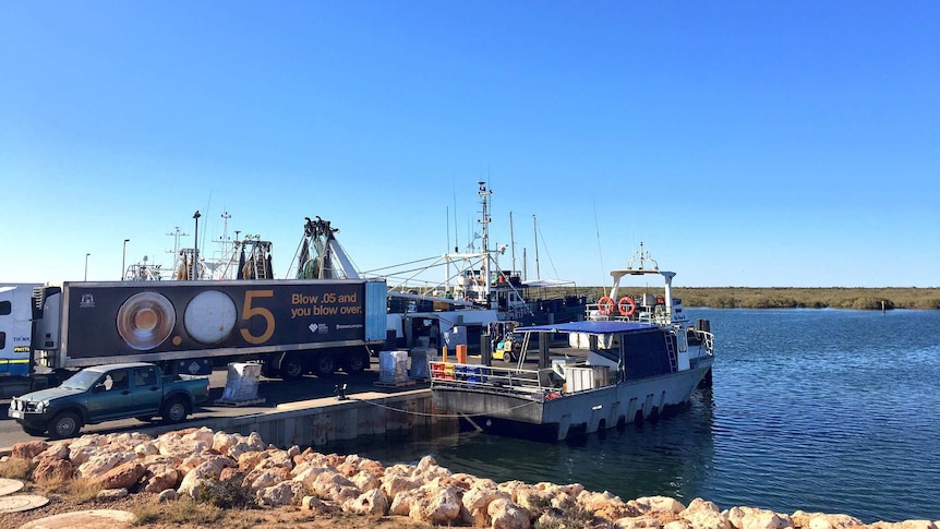 Seafood boxes are loaded into road trains from boats in the harbour