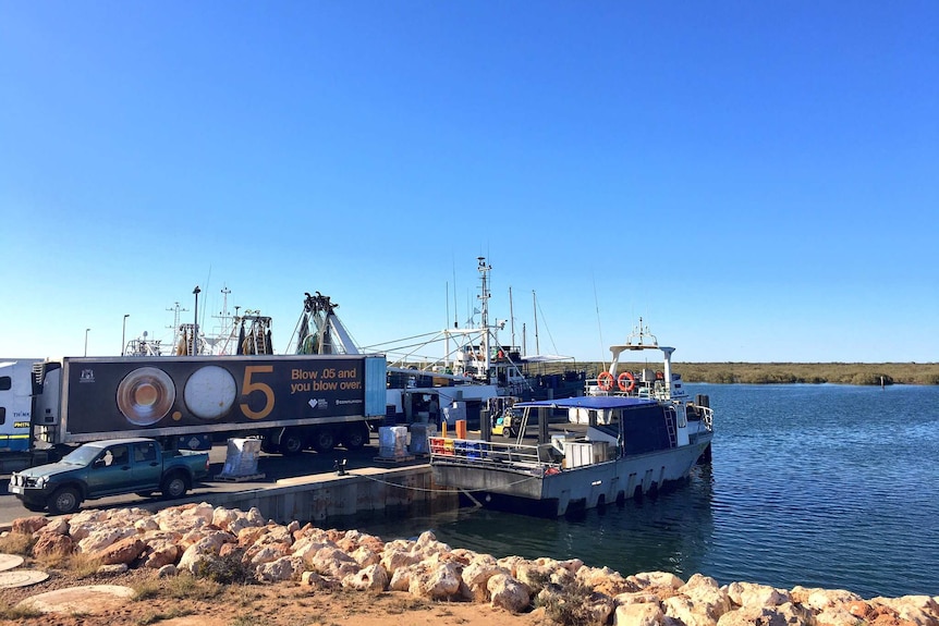 Seafood boxes are loaded into road trains from boats in the harbour