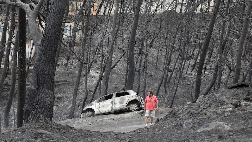 Bushfires tore through coastal towns not far from Athens (Photo: AP)