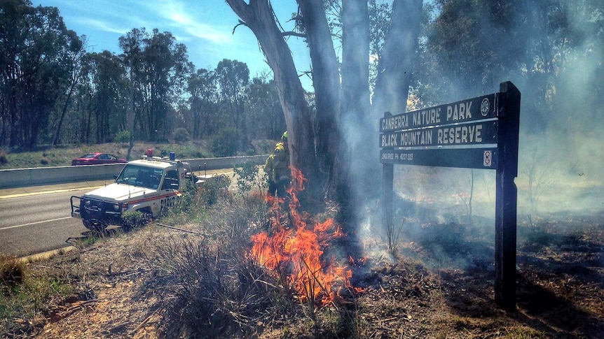 A hazard reduction burn at Black Mountain Nature Reserve on Friday.