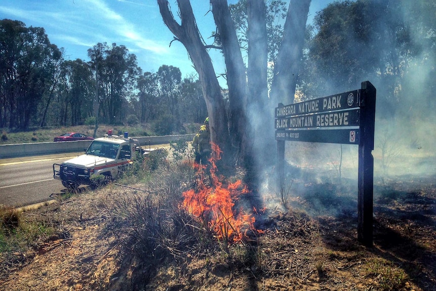 Hazard reduction burn at Black Mountain Nature Reserve in Canberra. Taken March 21, 2014.