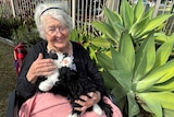 An older woman with short white hair smiling at the camera, holding a robotic cat on her lap