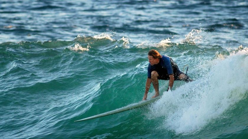 Airline ban: A surfer rides his longboard at Currumbin, Queensland