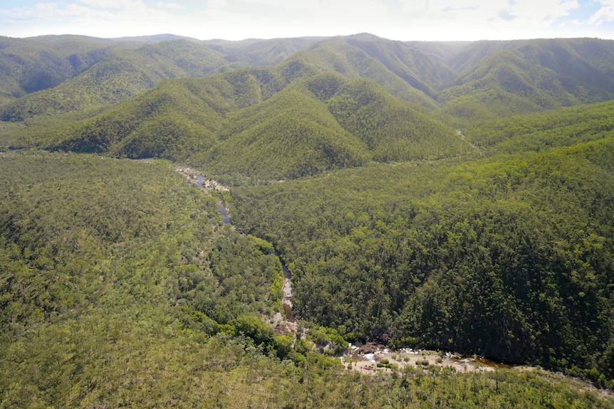 A small stream runs through a valley between lush green mountains.
