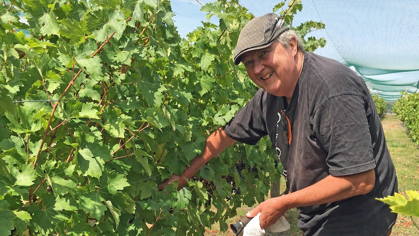 Jim Murphy in the Butter Factory Vineyard on Flinders Island