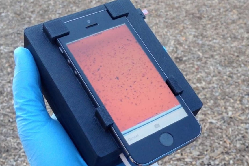 A globed hand holds the CellScope Loa as it tests for the eyeworm parasite.