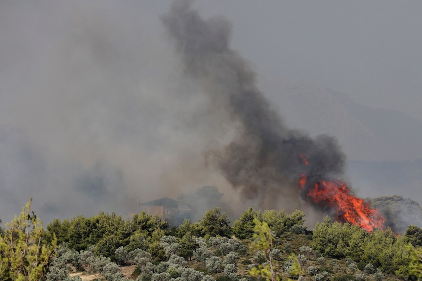 Flames and smoke over a house behind green trees. 