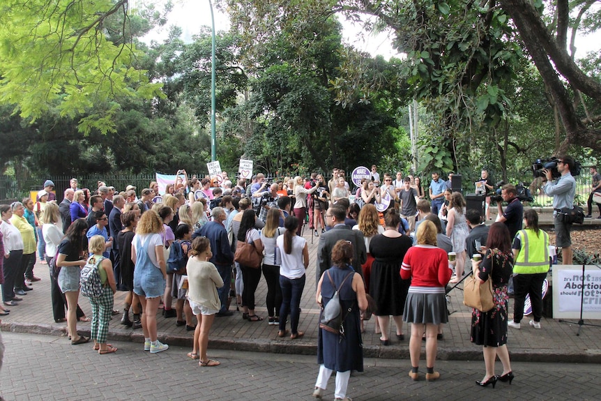 Elevated view of one to two hundred people gathered on paving under a large tree.