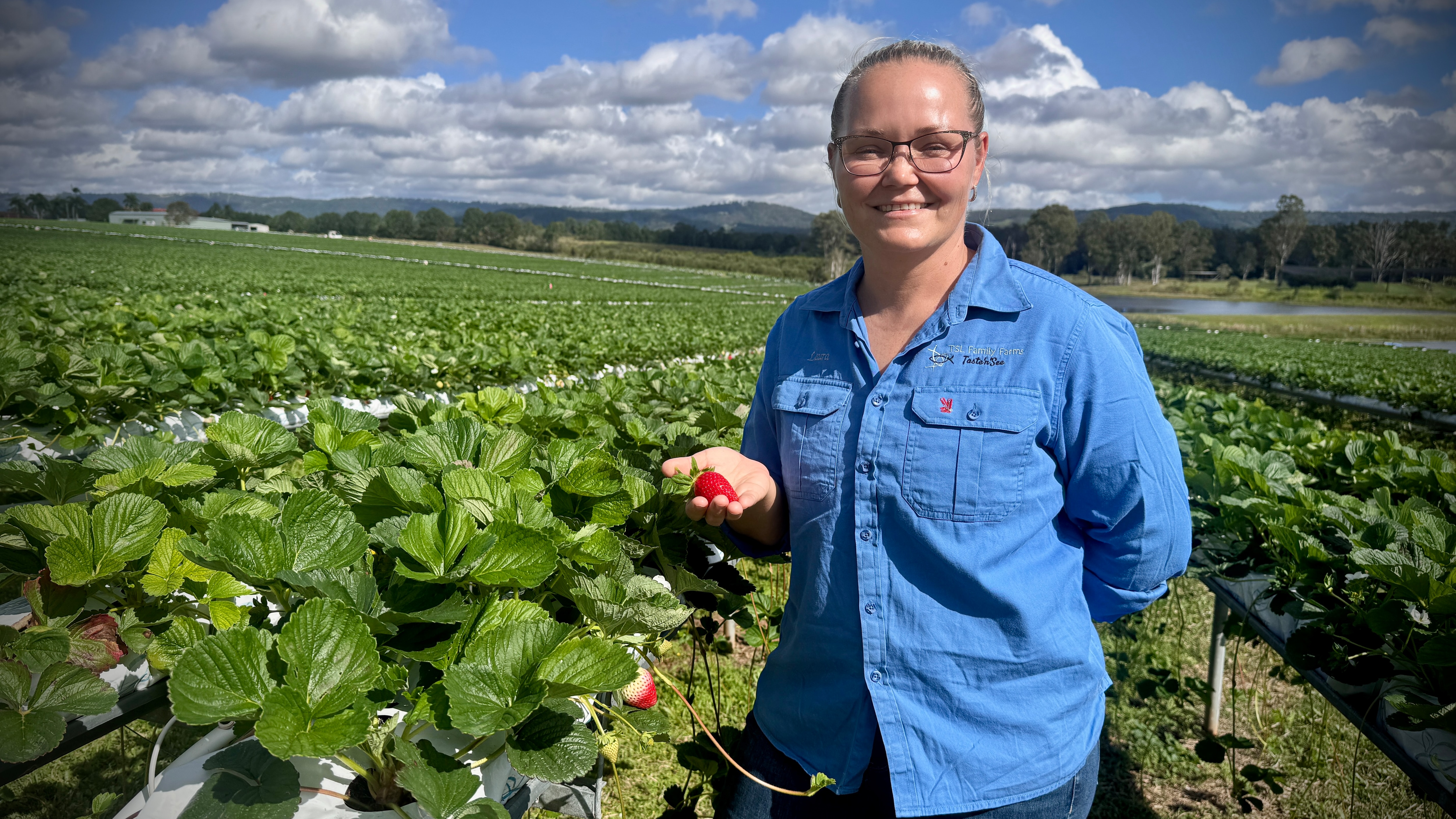 A woman stands between raised strawberry rows with a ripe fruit in her hand.