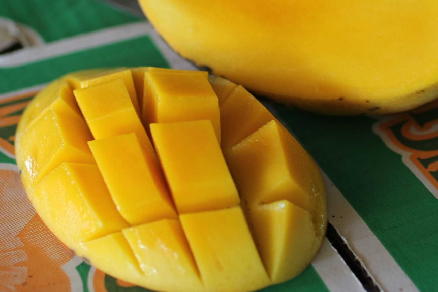 a honey mango cut open and sliced into cubes with another half behind.