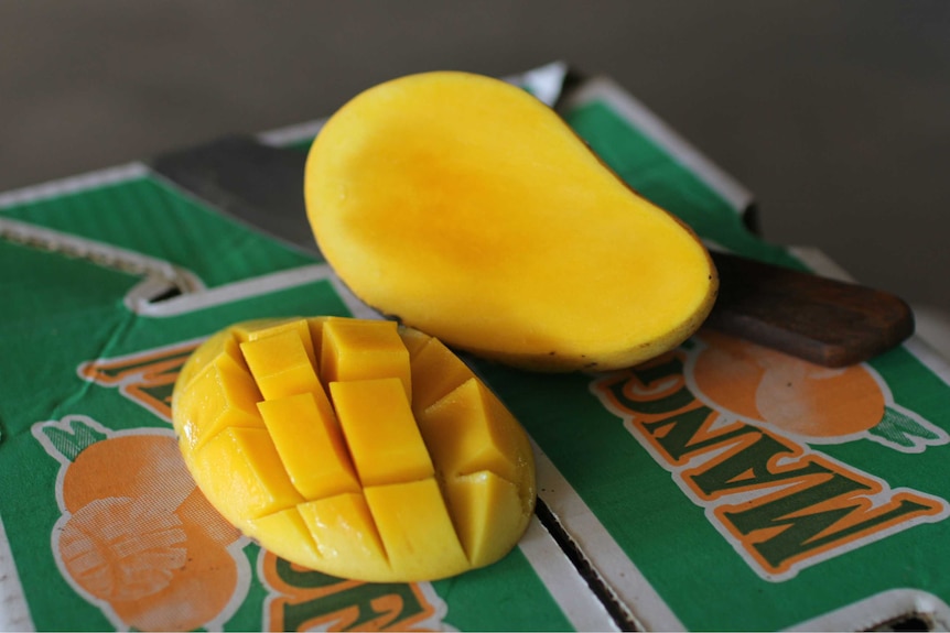 a honey mango cut open and sliced into cubes with another half behind.