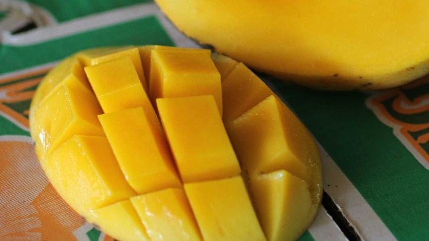 a honey mango cut open and sliced into cubes with another half behind.