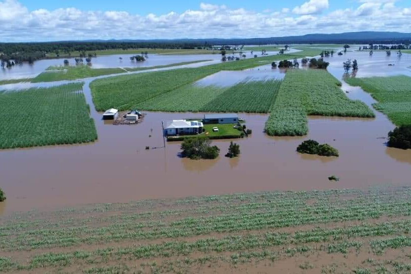 aerial view of a flooded soybean farm