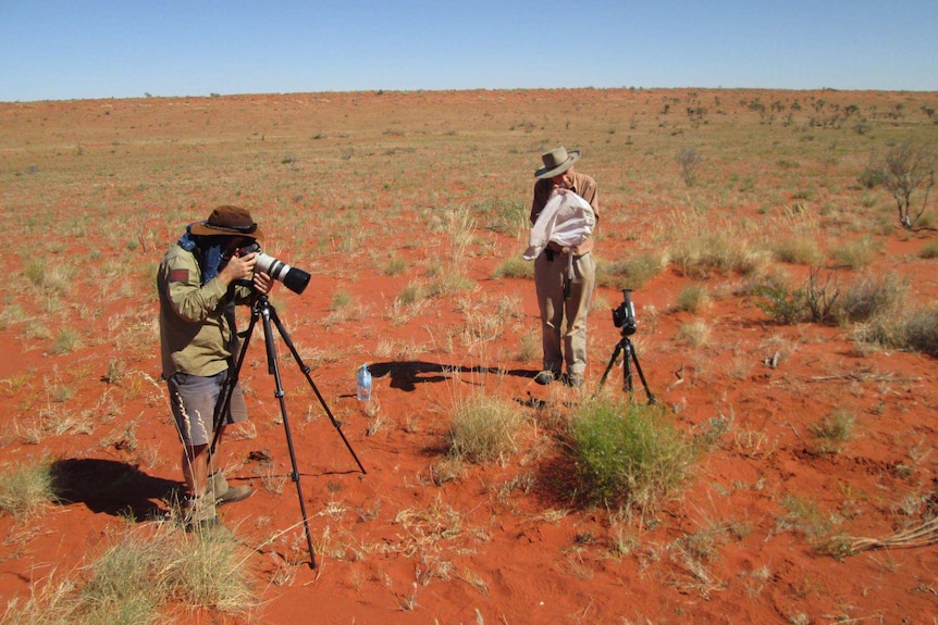 Michael Batley in the desert photographing bees