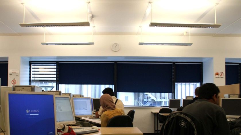 Students sitting in a computer lab