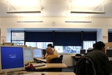 Students sitting in a computer lab