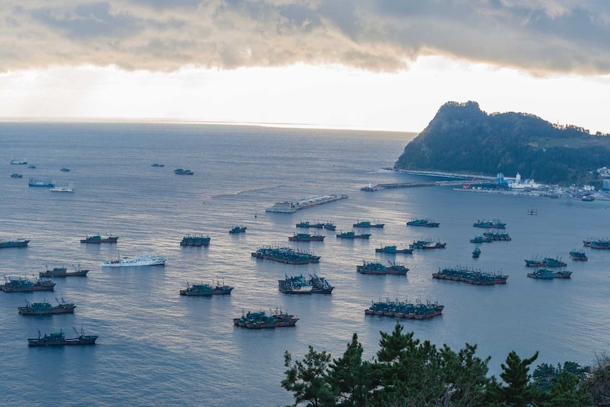 You view an aerial photo of a bay at dusk, with rows of fishing vessels anchored adjacent to a small port.