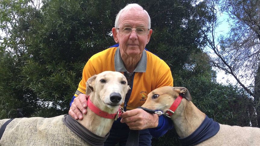 Former trainer Alan Steele with two greyhounds.