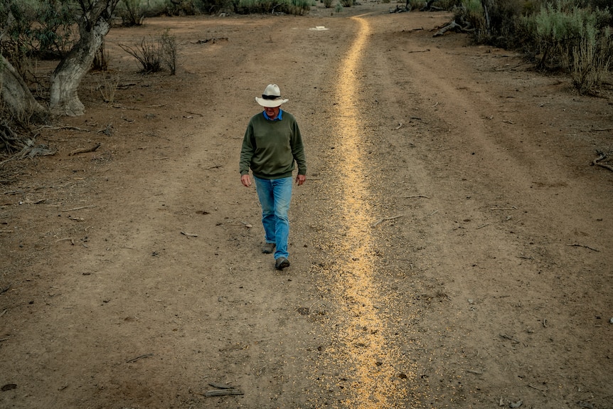 A man walking in a rural environment with feed on ground. 