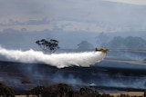 Firefighting aircraft at Moyston