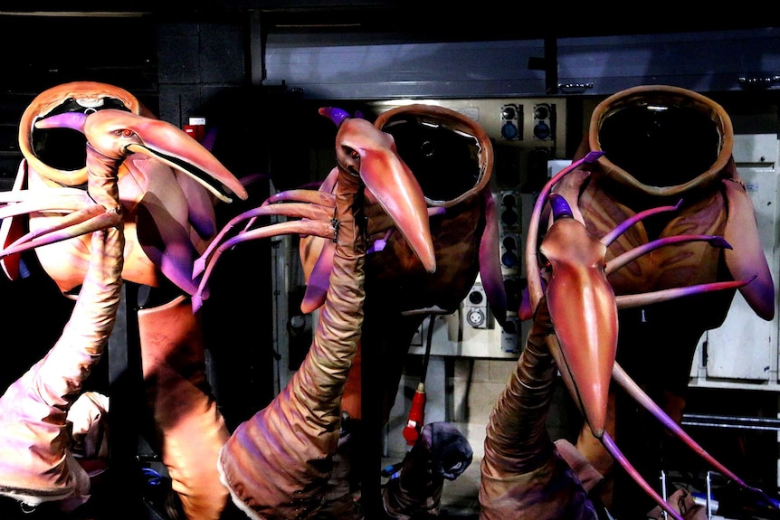 Costumes from TORUK are shown