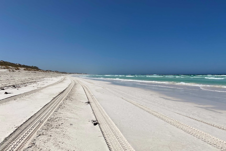 Tire tracks stretch down a beach. Only sand and the sea, and the edge of a dune is visible.