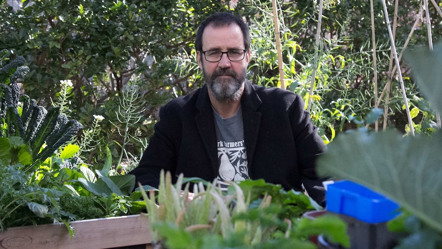 Oliver Brown crouching amongst vegetables and herbs
