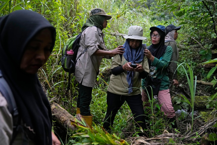 Members of a female ranger group mark their position on a GPS device during a forest patrol in Indonesia.