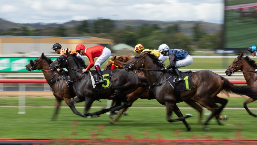 Horses running around a racecourse. 