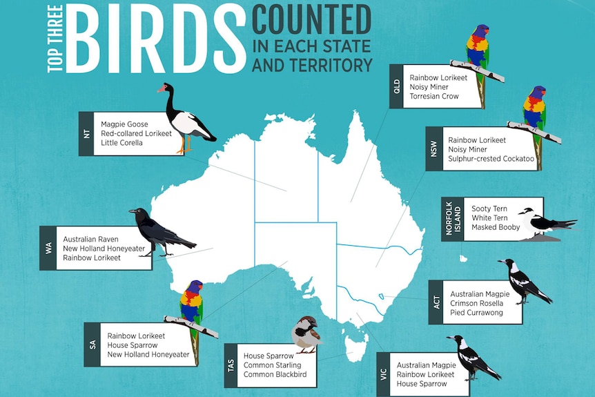 Map of birds counted in Australia.