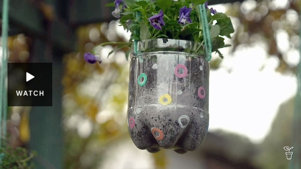A hanging planter made from a painted plastic bottle. Has Video.