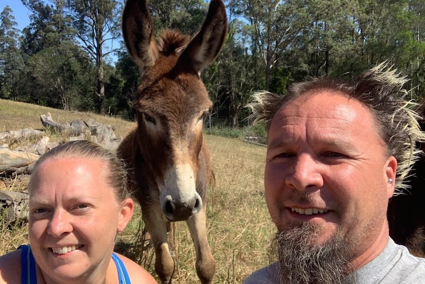 A man and a woman smile with a donkey between them