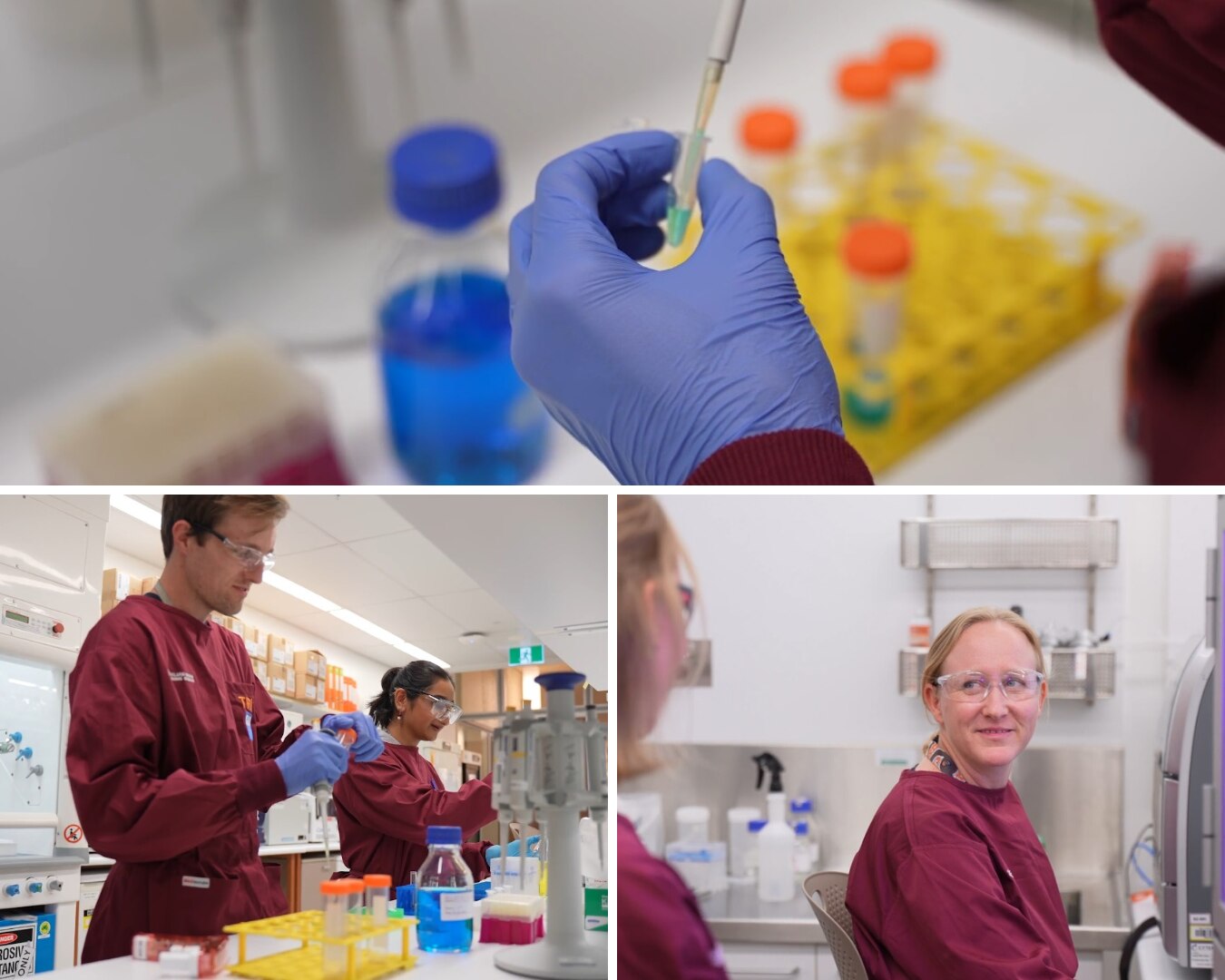 Researchers work in a lab with bacteria.