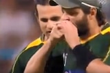 Pakistan star Shahid Afridi can be seen biting the ball.