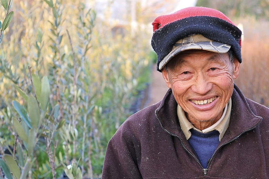 A man is smiling at the camera with many pistachio trees behind him