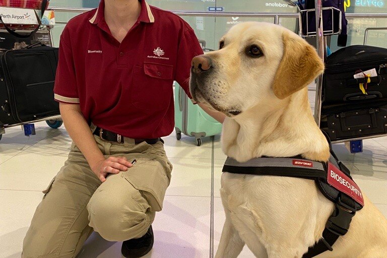 A dog handler and a detector dog at Perth airport