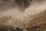 Sheep run through the dust.