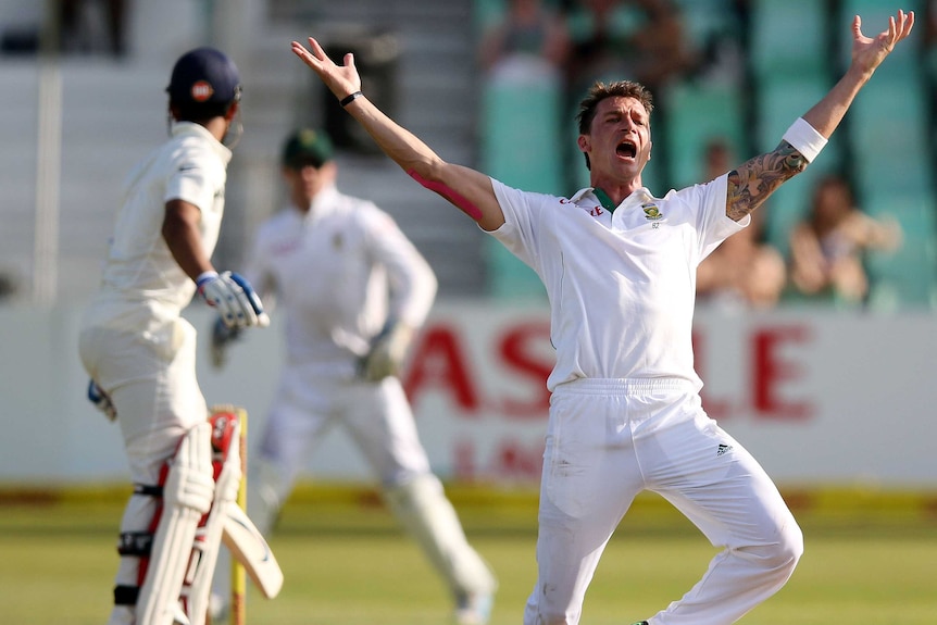 South Africa's Dale Steyn appeals on day two of the second Test against India