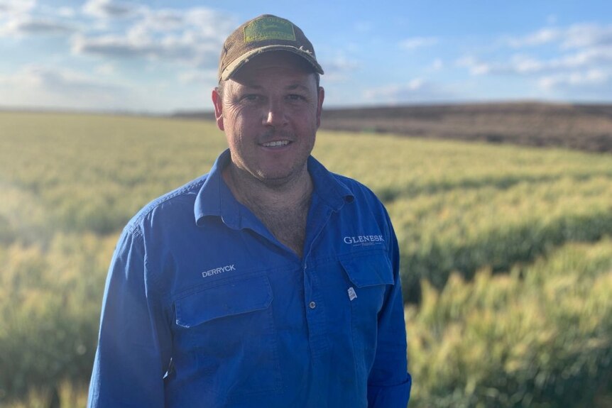 A man in a cap and blue shirt stands in front of a paddock of wheat.