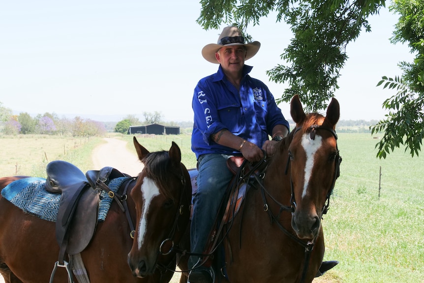 a man sides on a horse wearing a blue shirt and hat and pulls another behind him.