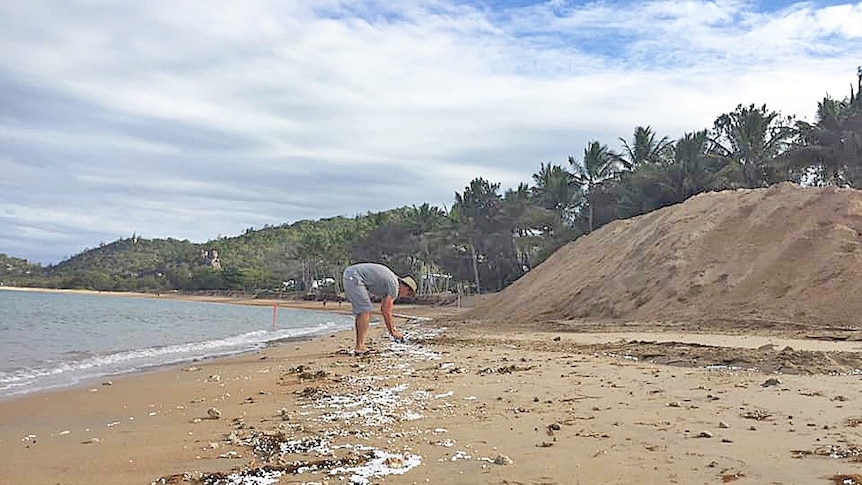 Magnetic Island locals clean up polystyrene beads from the beach